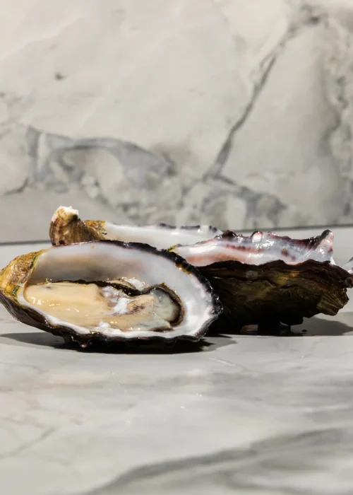 Tasmanian Oysters