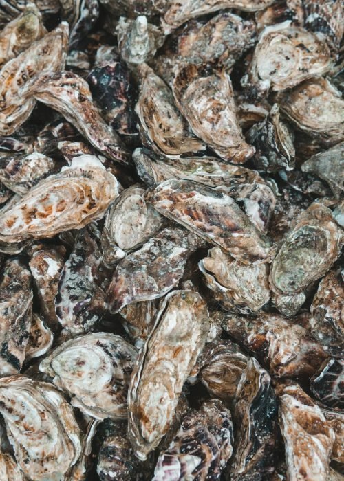 Gem of the Sea - Oyster Shucker Melbourne